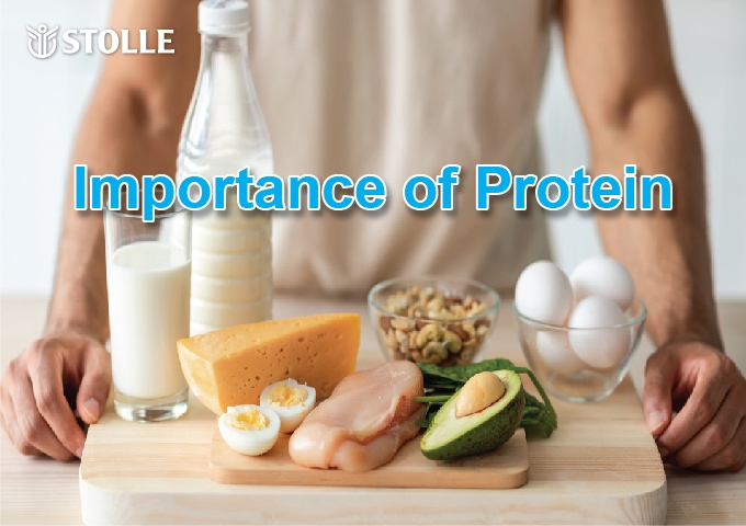 Importance of Protein