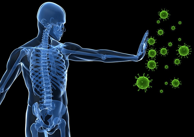 The power of immune system 