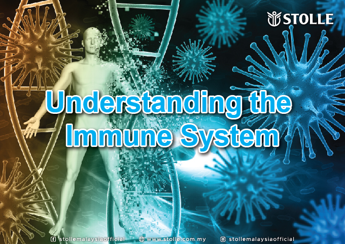 Understanding Immune System