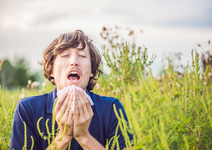 Survival Guide: A Quick Guide on Allergy Relief