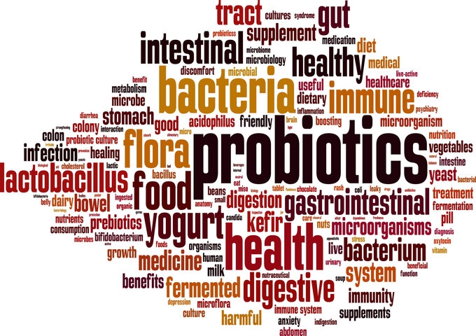 Benefits of Taking Probiotics For Gut Health Malaysia