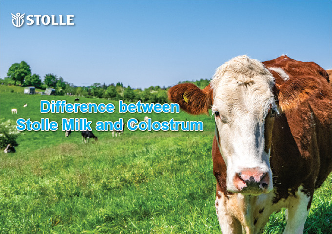 Difference Between Stolle Immune Milk and Colostrum