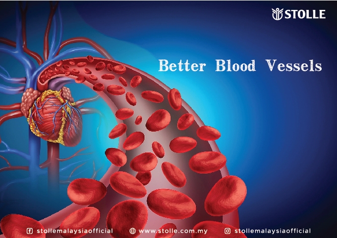 Better and Healthier Blood Vessels