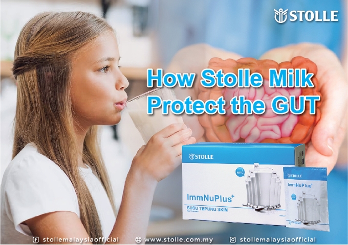 How Stolle Milk Protect the Gut