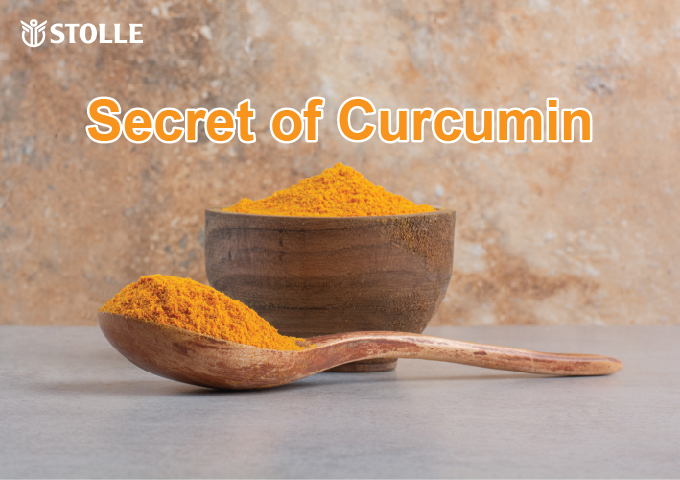 Secret of Curcumin