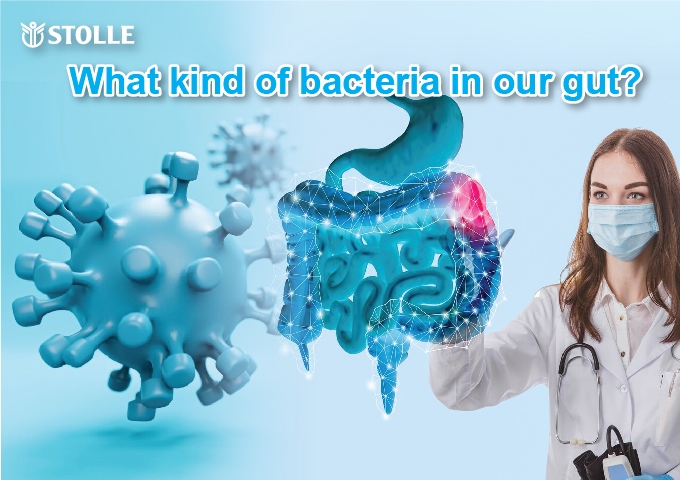 What kind of bacteria in our gut?