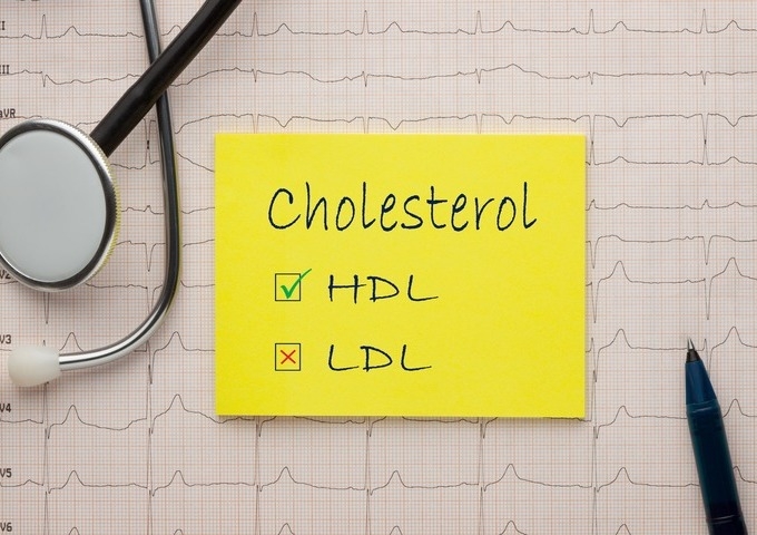 Cholesterol Knowledge: The Differences Between LDL and HDL