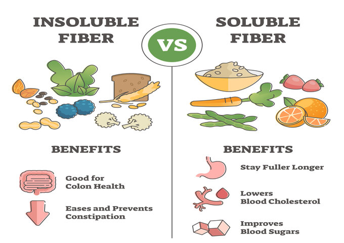 What is fibre and why do we need it?